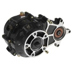 Mechanizm różnicowy ZT15E