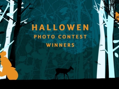 Halloween Photo Contest Results